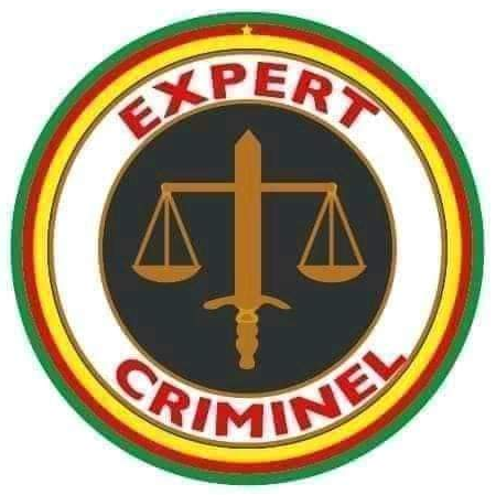 logo Cabinet d'enquêtes et d'expertises criminelles