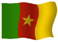 Drapeau du Cameroun sur DoualaTour