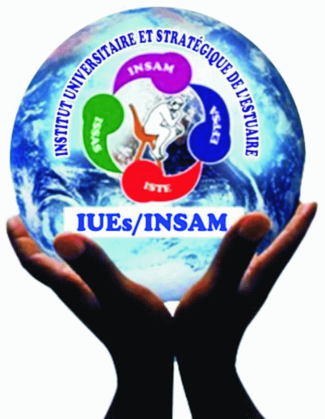 logo IUEs / Insam (Institut Universitaire et Stratégique de l'Estuaire)