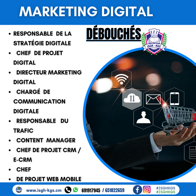 BTS Marketing digital - ISGH-KGS (Institut Supérieur de Gestion et d'Hôtellerie KGS) / CFOPRAH