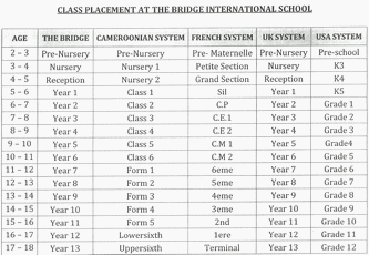 The Bridge International School